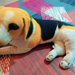 Cute Dog Soft Toy For Kids.