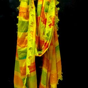 Multi Colour Dupatta