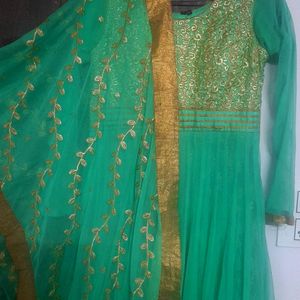 Beautiful Lite Green Colour Ethinc Gown