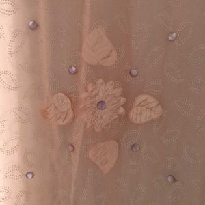 Peach Softly Organza Stole Dupatta