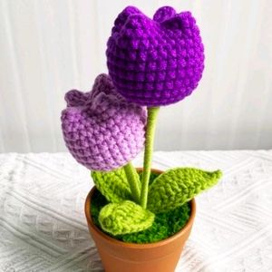 Crochet 2flower Set With Pot