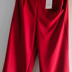 Palazzo Pant For Women