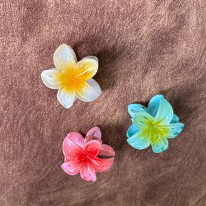 Flower Hair Clutcher Pack Of 3