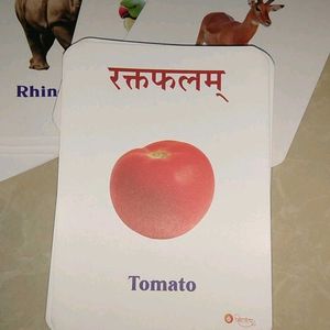 Vocabulary Flashcards