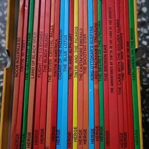 23 Books Box Set Tintin Collection