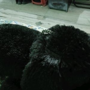 Soft Toy (Dog)