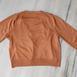 Rust Brown Cardigan