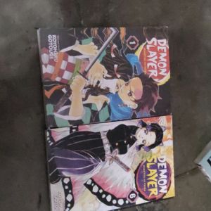 Demon Slayer Vol1&6