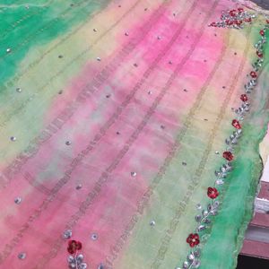 Multicolored Saree