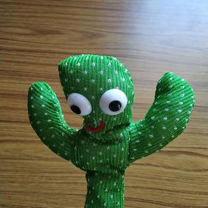 Cactus Shaped Plant For Kids To Play