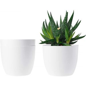 Small Plant Pots Container For Home Decor Balcony.