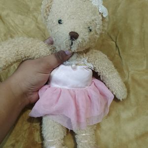 original jeju teddy bear