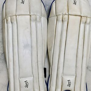 Wicket keeping Pads