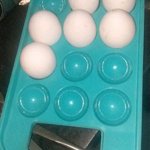 Egg Tray