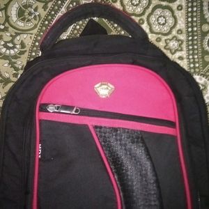 College / Laptop Bag