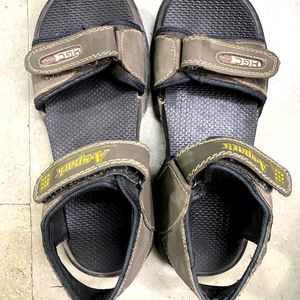 Olive Color Sandals Unisex