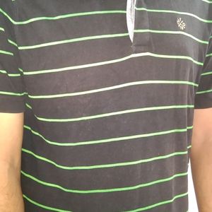 Men Striped Black Green Polo T Shirt & For Women