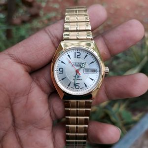 Gold Citizen Franken Fully Automatic Watch For Men