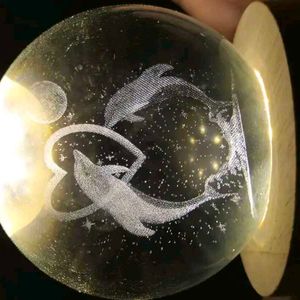 3D Dolphin Crystal Ball Night Lamp 🏮