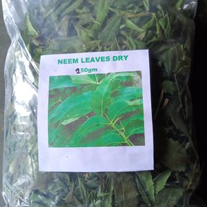 Neem Leaves Dry