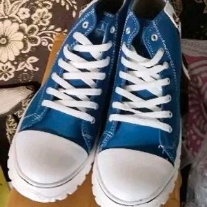 Blue unisex Ankle Shoes