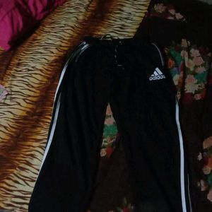 Adidas Track Pant