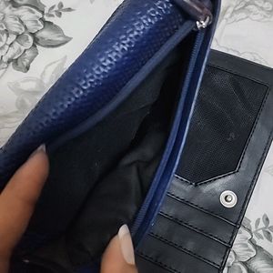 Baggit Wallet