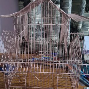 Bird Cage