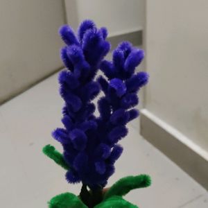 Lavender Flower