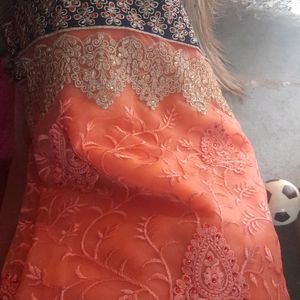 Beautiful New Net Saree