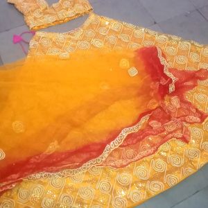 beautiful Lehenga Choli