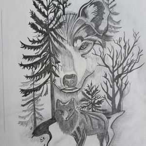 wolf 🐺 drawing