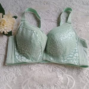 Padded Bra With Wire Inside