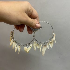 Shells Earrings