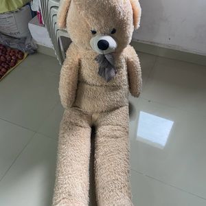 Giant Teddy