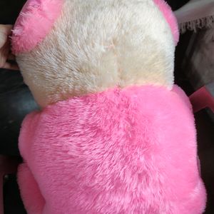 Soft Toy Teddy Bear