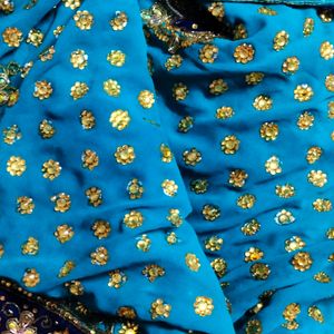 Blue Colour Full Stone Saree And No Blouse