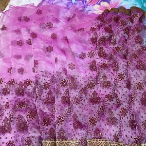 Organza Saree With Printed Design