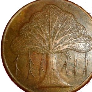 Tree Coins Old Rare 1818