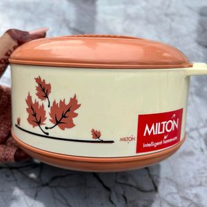 Milton Casserole🥘