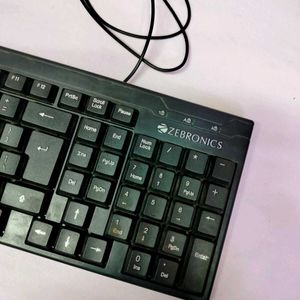 Zebronics Full Working Wired Keyboard.