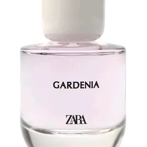 Authentic decant Zara Gardenia