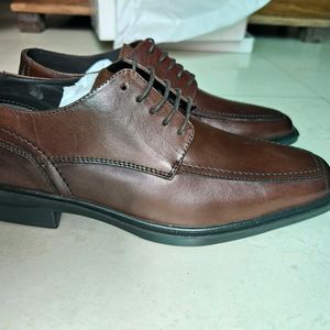 Allen Cooper Pure Leather Oxford/ Formal Shoes