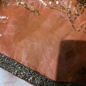 Rust Color Sequins Saree