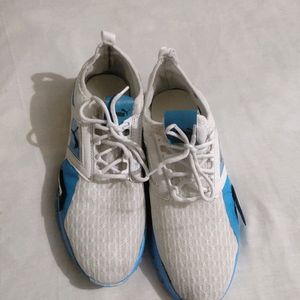 Sports Shoe