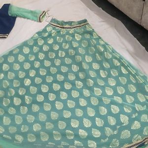 Beautiful Green Lehnga Choli