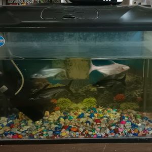 Fish Tank For Ur Beautiful House