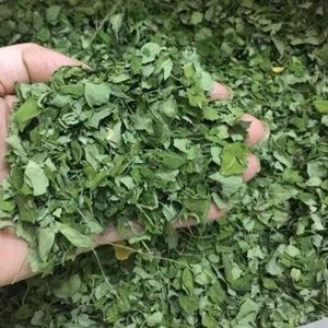 Moringa Leaves