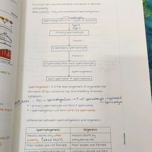 Anatomy Ed 6 Notes Of Marrow