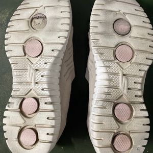 Original Skechers Shoes